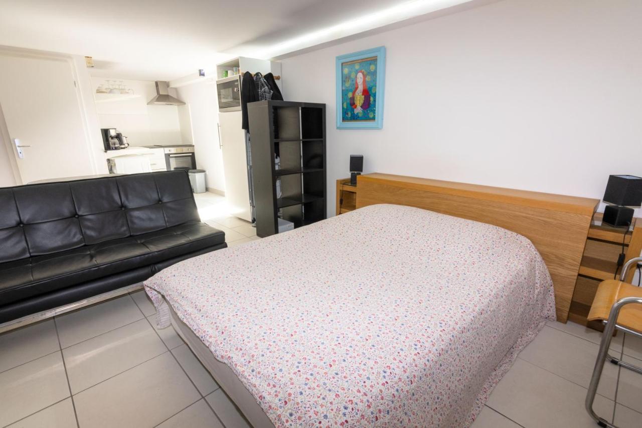 Le Selestadien Apartment